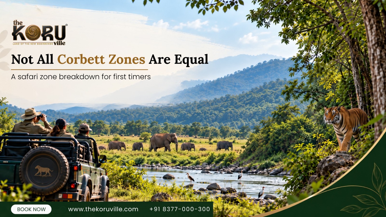 Not All Corbett Zones Are Equal: A Safari-Zone Breakdown for First-Timers